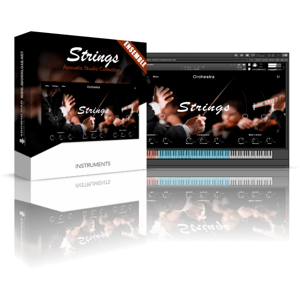 Muze Strings Ensemble KONTAKT Library